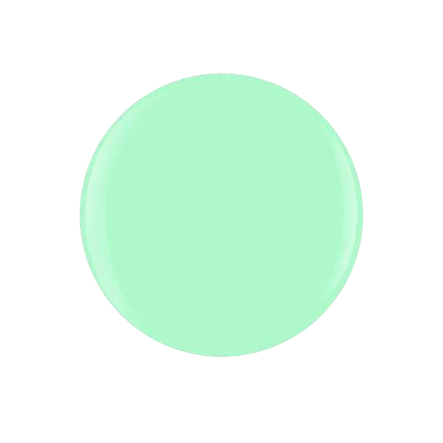 Mint Chocolate Chip