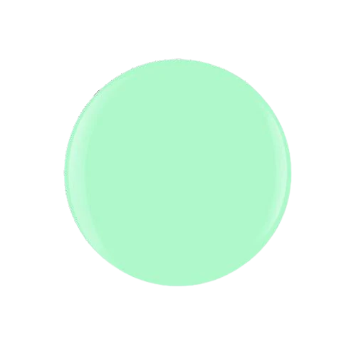Mint Chocolate Chip